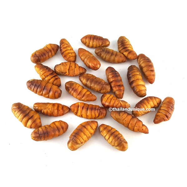 Bulk Wholesale Insects