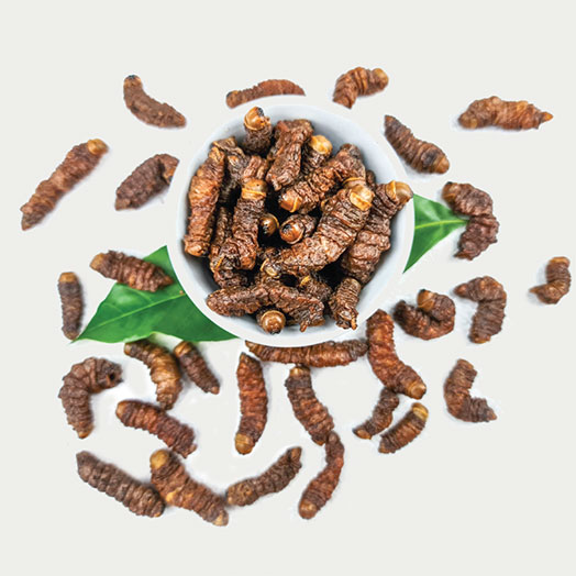 Fried Mopane Worms