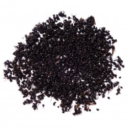 Edible Black Ants with Salt