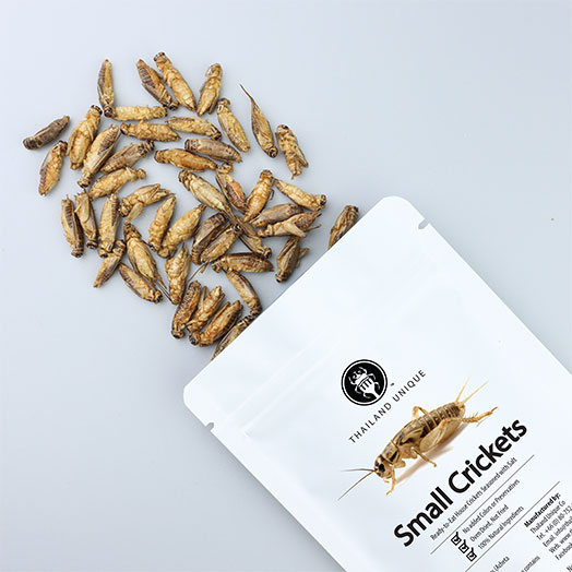 Acheta Crickets Large Pack 50g