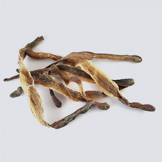 Dried Edible Earthworm