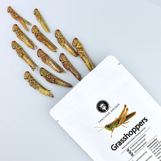 Edible Grasshoppers 15g - Oxya Yezoensis Sp