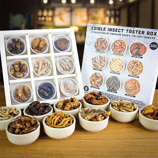 Edible Insect Taster Gift Box