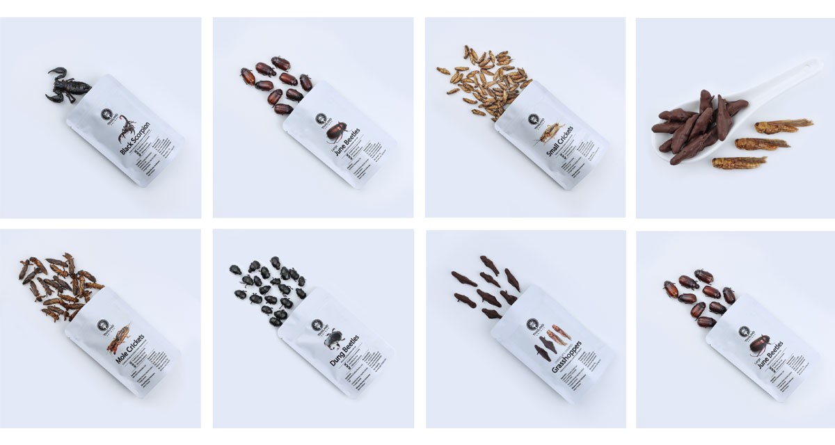 Edible insects in bags for sale