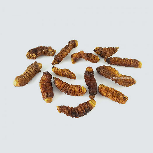 Mopane Worms Wholesale