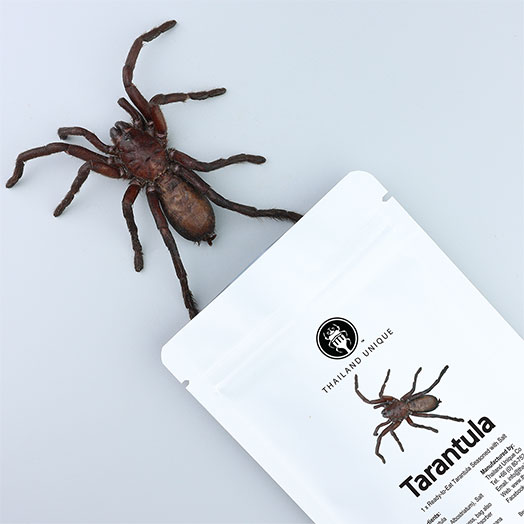 Edible Tarantula Haplopelma albostriatum