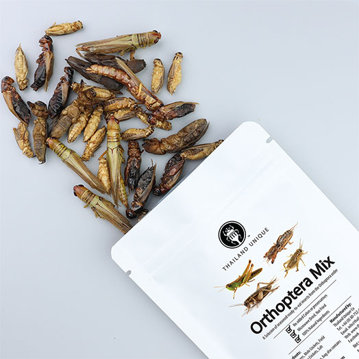 Orthoptera Mix Bag 15g