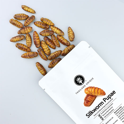 Edible Silkworm Pupae - Bombyx Mori