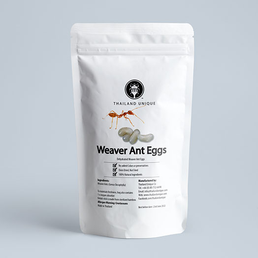 Weaver Ant Eggs