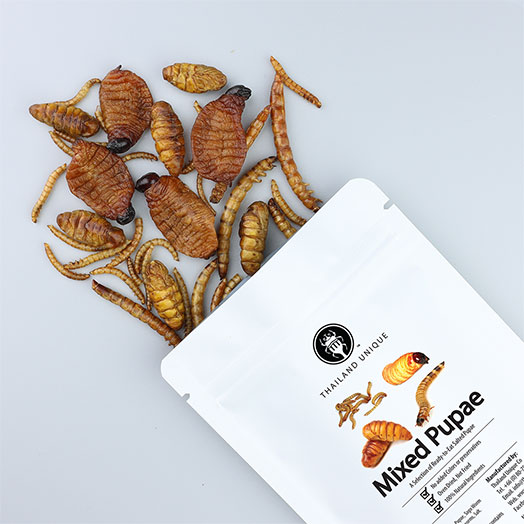 Mixed Worms (Pupae) 15g
