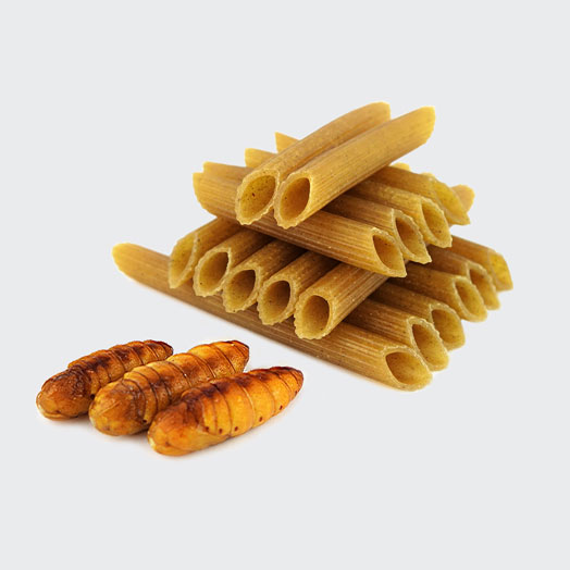 Silkworm Pupae Pasta - Gluten Free!