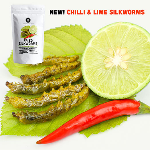 Fried Silkworms - Chilli & Lime Flavour