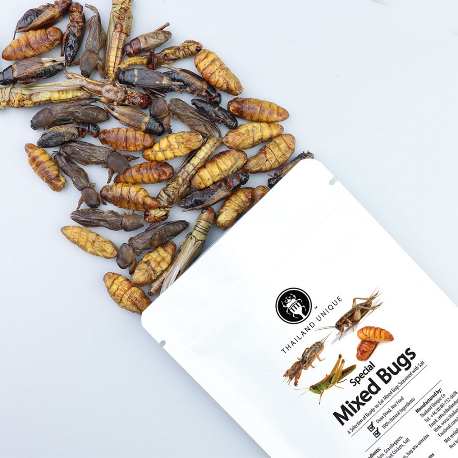 https://www.thailandunique.com/image/cache/catalog/edible-insects/special-mixed-bugs-40g-bag-900x900.jpg