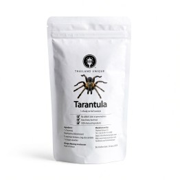 Edible Tarantula Haplopelma albostriatum Edible Tarantula Haplopelma albostriatum