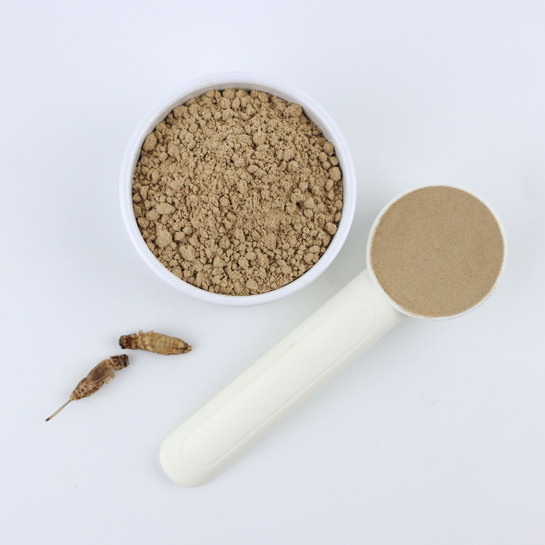 Cricket powder acheta domestica 1kg