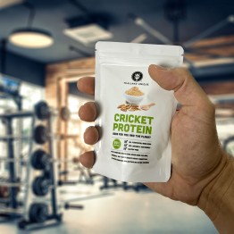 Cricket Powder 100g Acheta Domesticus