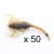 50 x 3-4cm Scorpions  + $23.75 