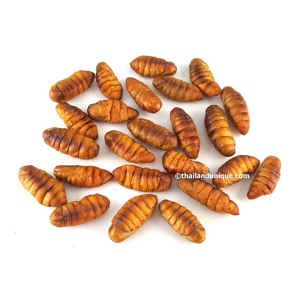 loose edible silkworm pupae