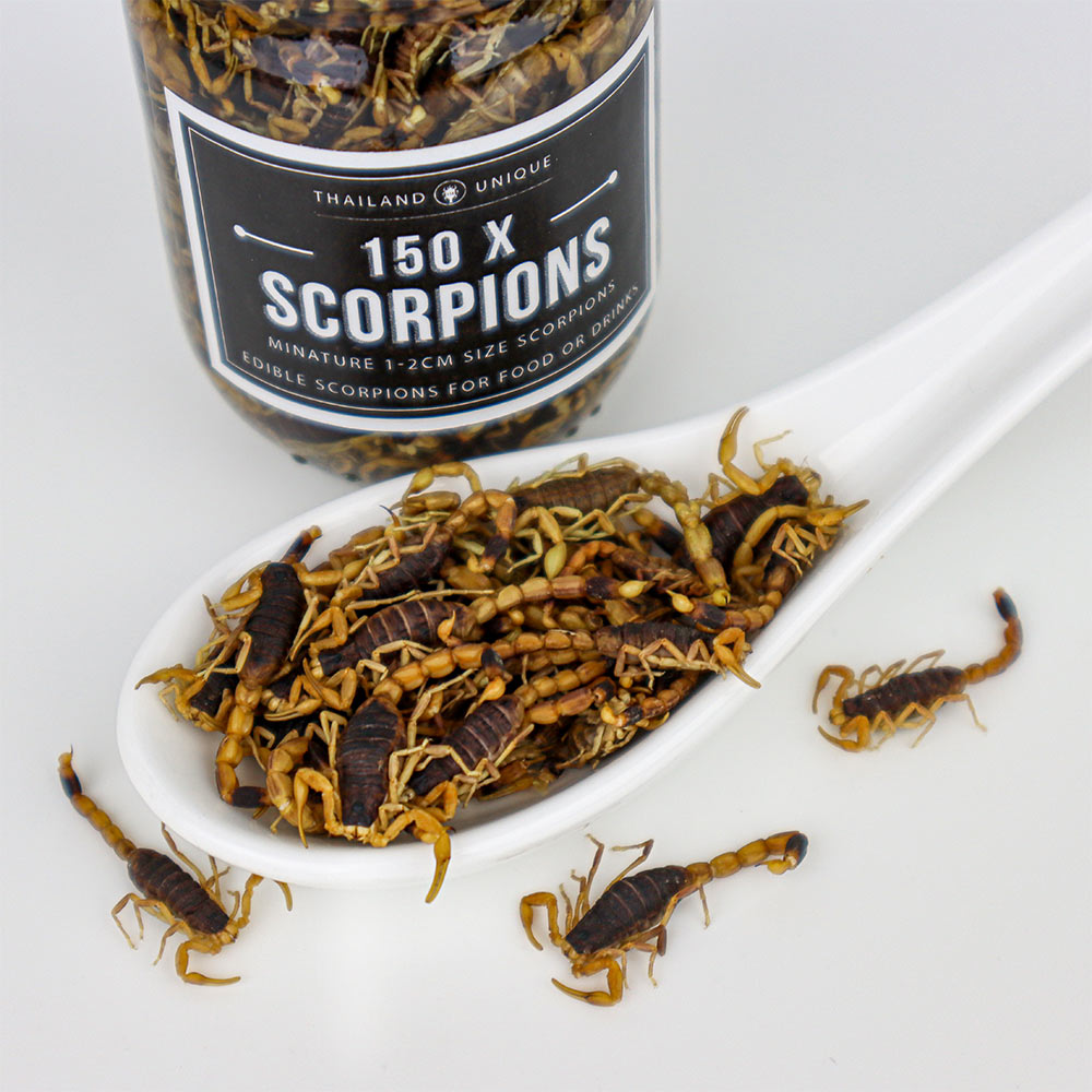Quelle est la nourriture préférée du Scorpion?