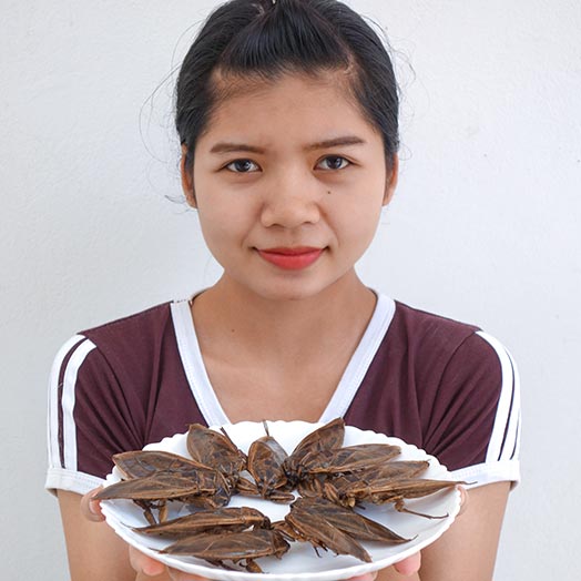 Why Eat Edible Insects?